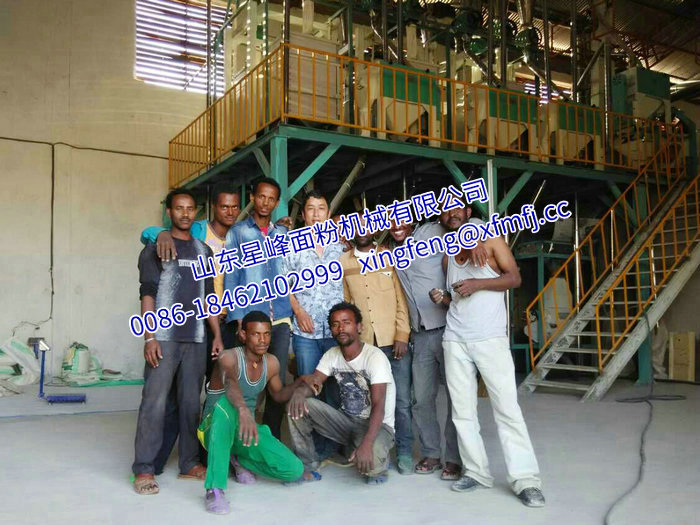 公司環境 (12).jpg