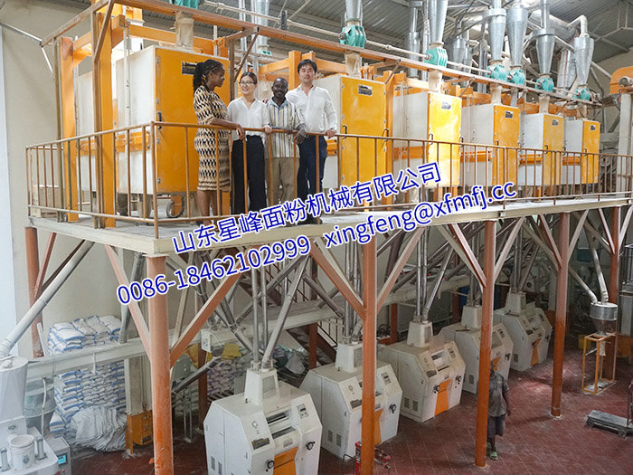 非洲客戶案例-60T 24h玉米粉生產線.jpg