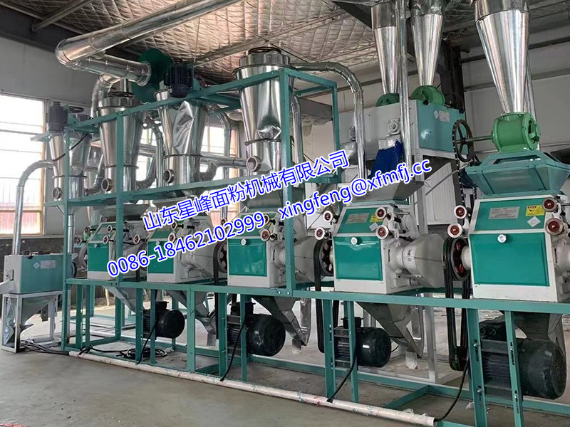 20T小麥制粉設(shè)備.jpg