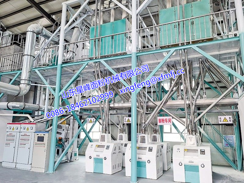 60-80噸小麥加工設(shè)備