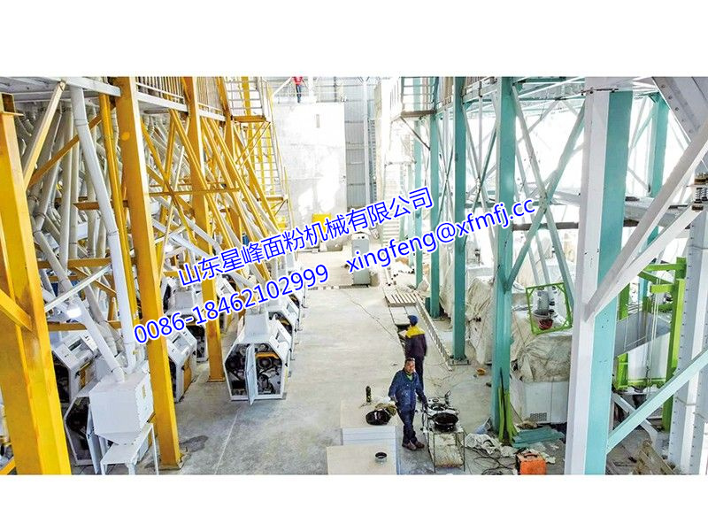 300噸小麥面粉生產(chǎn)線