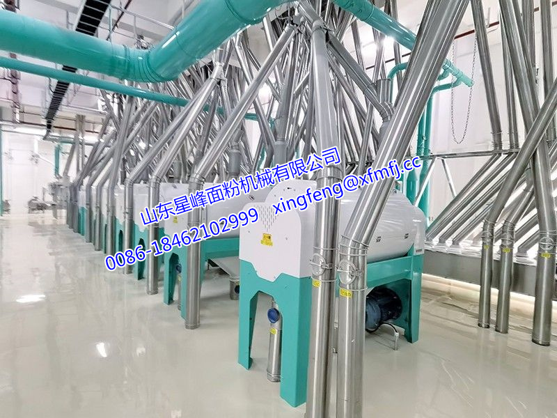 500-1000噸小麥面粉生產(chǎn)線