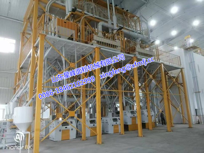 500噸小麥面粉加工設(shè)備
