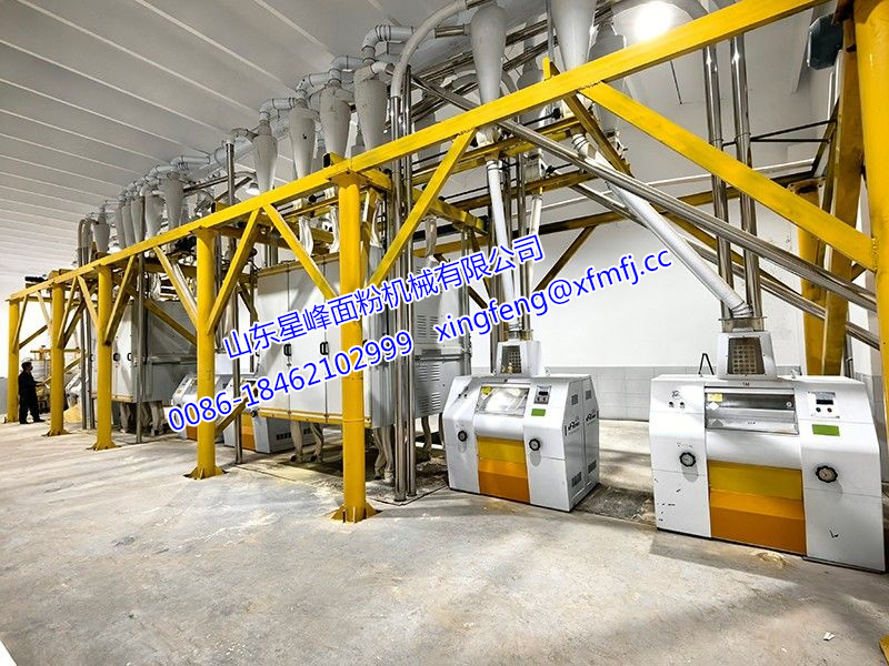 120-150噸玉米粉出口設(shè)備
