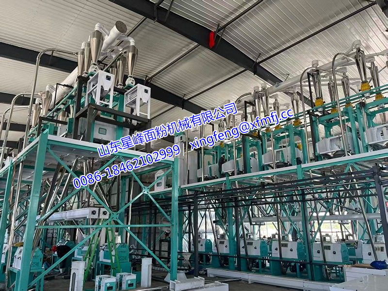 面粉廠(chǎng)社會(huì)實(shí)踐報(bào)告精選