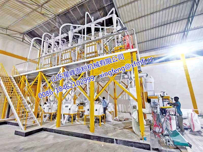 6FTF型42-52T/24h-QGJ 